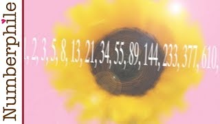 Sunflowers and Fibonacci  Numberphile [upl. by Nnave]