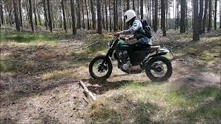 Suzuki XF 650 Freewind Scrambler Custom Build [upl. by Coveney]