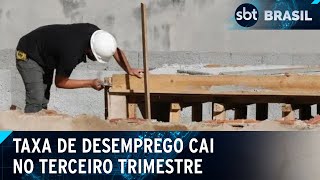 IBGE desemprego caiu em 7 estados no terceiro trimestre  SBT Brasil 231124 [upl. by Venita]