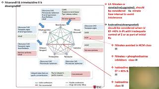 A Chronic coronary syndrome part 2 [upl. by Kiran]