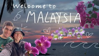 Tioman Island Vlog  Malaysia  SCUBA DIVING [upl. by Mallin]