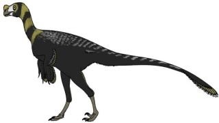 Ornitholestes  Enciclopedia sobre Dinosaurios [upl. by Tnirb544]