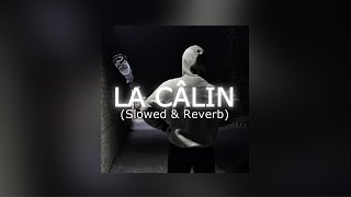 La Càlin  SLOWED amp REVERB version  Tiktok [upl. by Dnomrej]