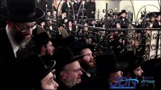 Skver Rebbe In The Rema Shul In Cracow  Teves 5784 [upl. by Flam]