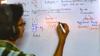 Antibody test qualitative [upl. by Htebazle]