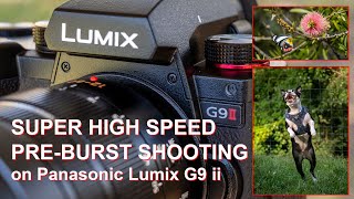 Panasonic Lumix G9 Mark ii  Shooting in SUPER HIGH SPEED PREBURST MODE [upl. by Omrellug]