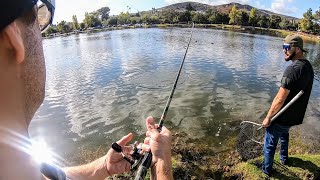 Santee Lakes Trout Opener 2024Monster Fish Caught [upl. by Reifel]