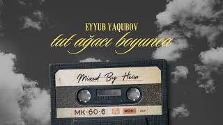 Eyyub Yaqubov  Tut Ağacı Boyunca Heiso Mix [upl. by Delphinia534]