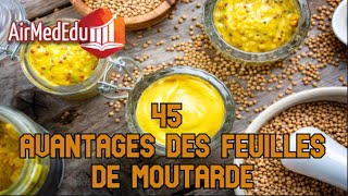 45 Avantages des Feuilles de Moutarde [upl. by Nylatsirk]