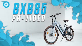 Bluewheel BXB85 26 Zoll Damen EBike  EUkonformes Pedelec  Shimano 21 GangSchaltung  250W Motor [upl. by Aissyla]