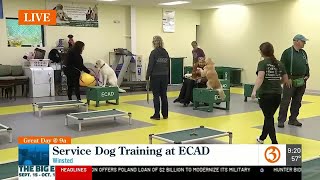 Service Dog training at ECAD [upl. by Amihsat232]