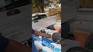 Solutions pest and lawn spray rig review music hiphop splashpro spray pestcontrol verobeach [upl. by Burkitt287]