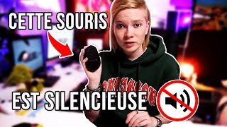 CETTE SOURIS EST TOTALEMENT SILENCIEUSE [upl. by Yusem436]