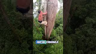 Gerçek Hayattaki Tarzan 😯 tarzanmovement  YTIG [upl. by Epps]