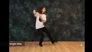 Tai Chi Moves  Free Tai Chi Online Lessons  Moves 4 5 and 6 [upl. by Melinde]