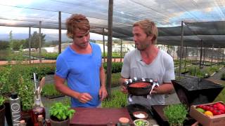 Hayden Qinn prepares the perfect Tomato Spekboom  Stellenbosch De Fynne Nursery [upl. by Aklog]