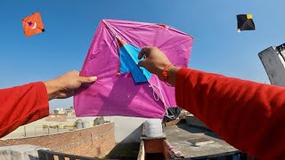 Kite Fighting In Sunday  Kite Cutting 🔥  Kite [upl. by Zerk]