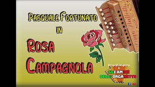 Rosa campagnola  Pasquale Fortunato [upl. by Siraj]