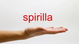 How to Pronounce spirilla  American English [upl. by Atsyrhc]