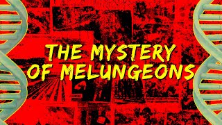 The Mystery of Melungeons [upl. by Ajiak]