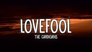 The Cardigans  Lovefool Lyrics  1 Hour Version [upl. by Anerak262]