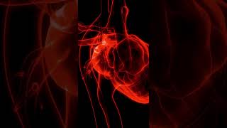 Normal Heart Sound vs Pulmonary Stenosis [upl. by Emerald948]