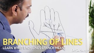 Branching of Lines in Hand  Palmistry [upl. by Nezam]