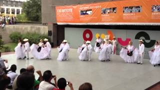 Ballet Folklórico CitlaliVeracruz Sotavento El colas [upl. by Evilo]