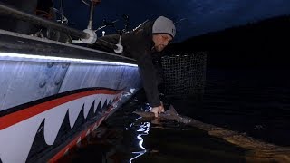 Bottom Fishing for GIANT Fish  Fishing in the DARK [upl. by Mccahill]