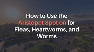 How to Use the Aristopet Spot On for Fleas Heartworms and Worms  VetSupply [upl. by Laehcar]