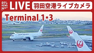 【ライブカメラ】羽田空港 quotT1quot quotT3quot HANEDATokyo International Airport（日テレNEWS LIVE） [upl. by Essa]