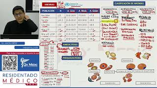 REPASO I  HEMATOLOGÍA [upl. by Chessy]