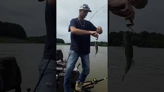 Millers Ferry Bass fishing [upl. by Rebak]