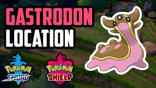 How to Catch Gastrodon  Pokemon Sword amp Shield [upl. by Gnolb]