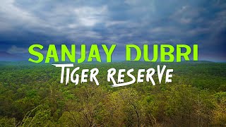 Sanjay Dubri Tiger Reserve Safari  4K Video Hindi  हिन्दी [upl. by Akitahs]