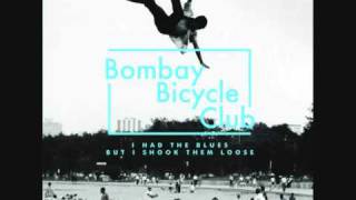 Bombay Bicycle Club  Dust On The Ground [upl. by Fanechka]