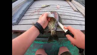 Crappie Catch Cook Clean Part 2 [upl. by Lilac]