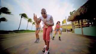 Flo Rida  Let It Roll Official Video [upl. by Svirad781]