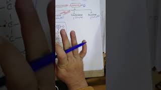 Structure Of Glucose Galactose and Fructose  Biochemistry [upl. by Ardek]