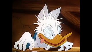 Donald Duck cartoons compilation 7 full episodes [upl. by Namref61]