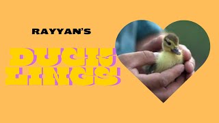 Rayyan ne ducks le lein 😊 ❤️ 💙 💜 💖 💗 [upl. by Carlyle]