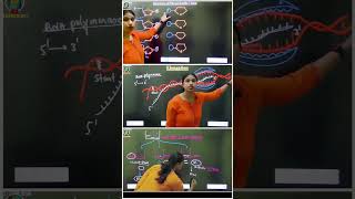 Molecular Basis of Inheritance One Shot for NEET [upl. by Moise]