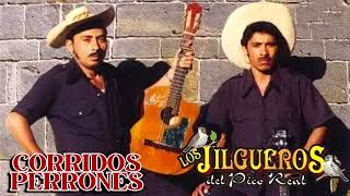 LOS JILGUEROS DEL PICO REAL MIX Canciones y Corridos Perrones [upl. by Nimajeb528]