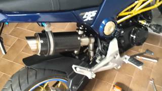 Honda MSX125 Grom Carbon Exhaust [upl. by Danyette]