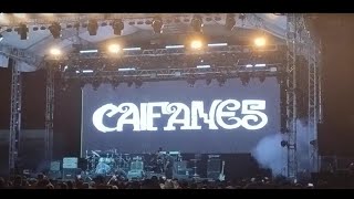 CAIFANES EN EL CHOYERO FEST LA PAZ BCS 2024 [upl. by Ayam841]