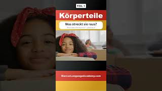 🇩🇪 Körperteile 110  Deutsch lernen mit Fragen  Deutsch für Anfänger deutschlernen shorts [upl. by Ayital]