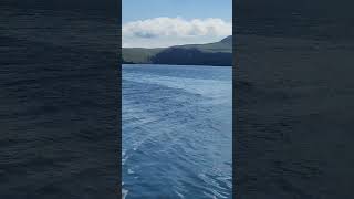 Jellyfish and the view in Akutan AK in the Aleutians aleutians travel akutan nature [upl. by Novyak]