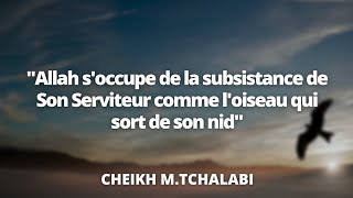 quotAllah soccupe de la subsistance de Son Serviteur comme loiseau qui sort de son nidquot  C Tchalabi [upl. by Akinihs521]