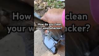 Do you maintain your weed wackers Weed wacker maintenance lawnlife lawncare lawnmaintenance [upl. by Rainger]