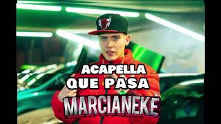 Marcianeke  Que Pasa Acapella [upl. by Aihsaei]